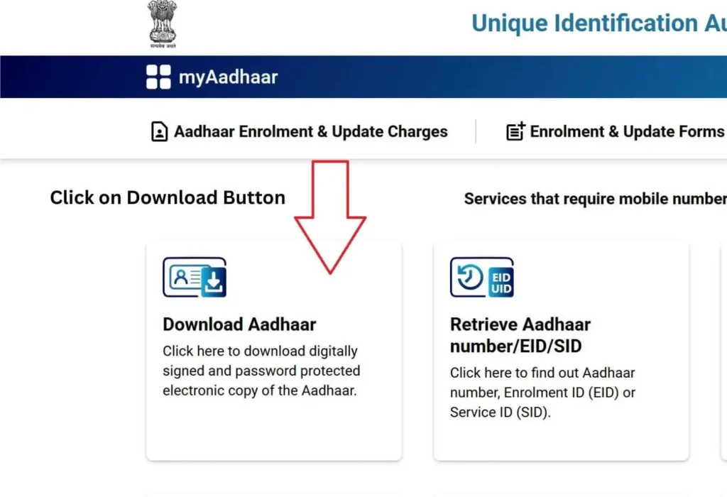 check aadhaar status